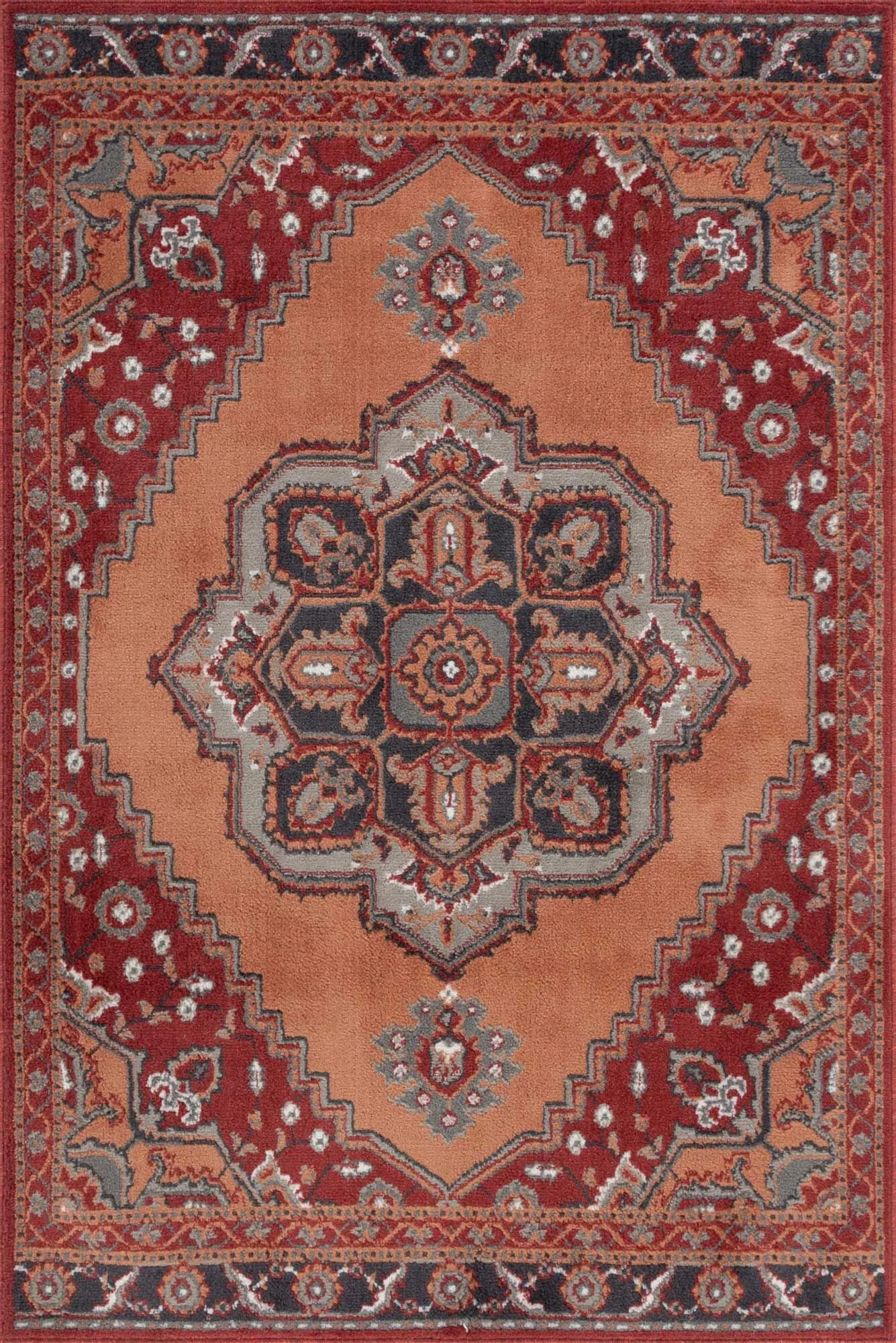 Large View
