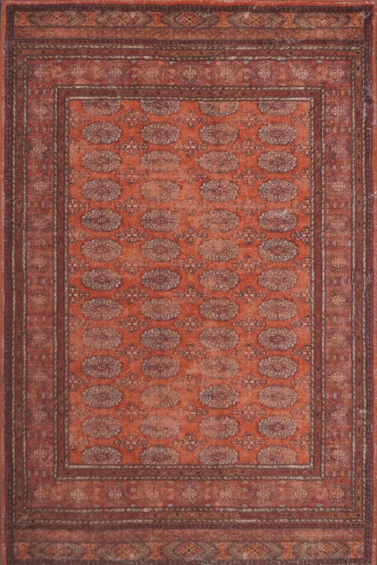 Large View Cato Traditional Geometric Rug