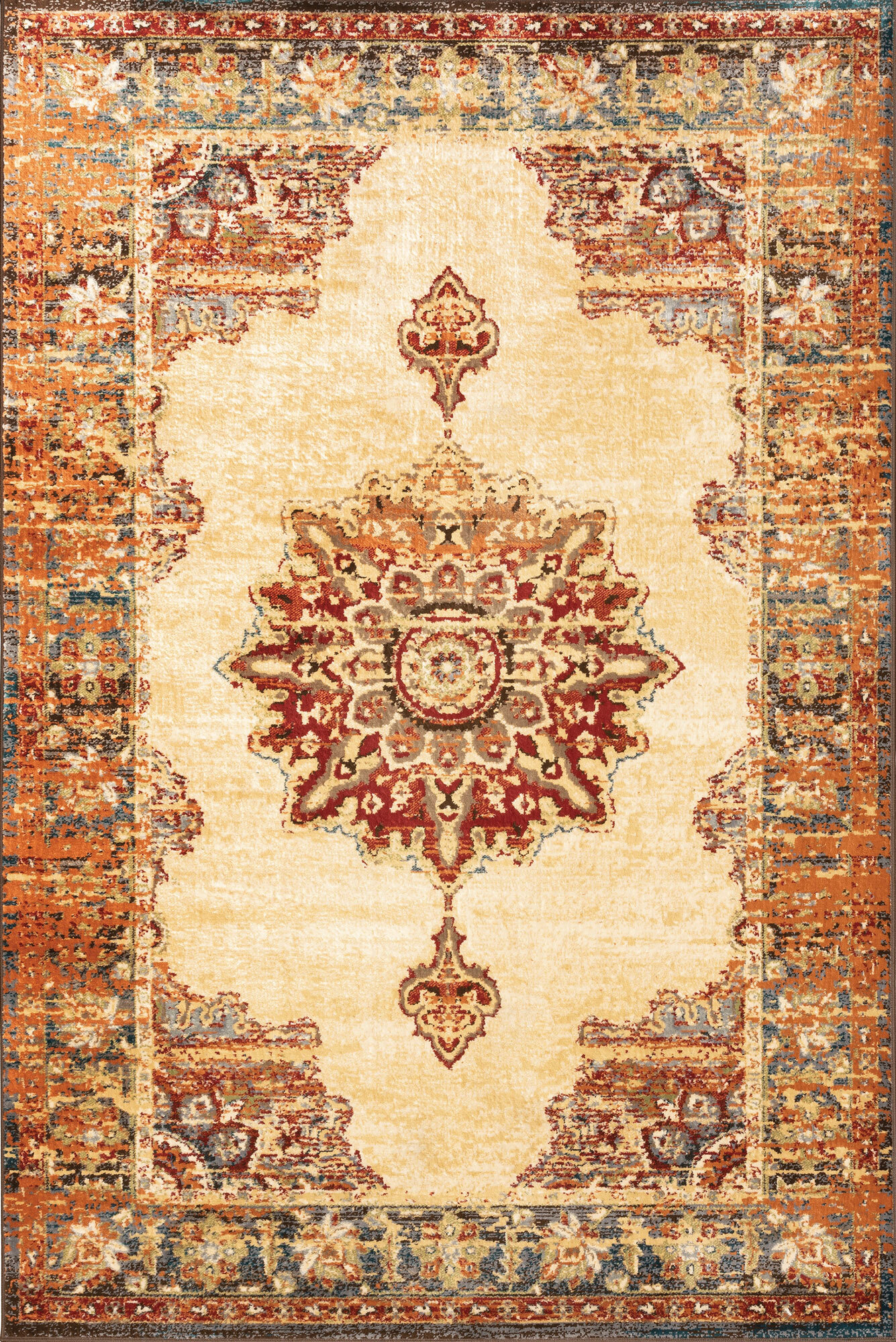 Caleb Transitional Medallion Rug