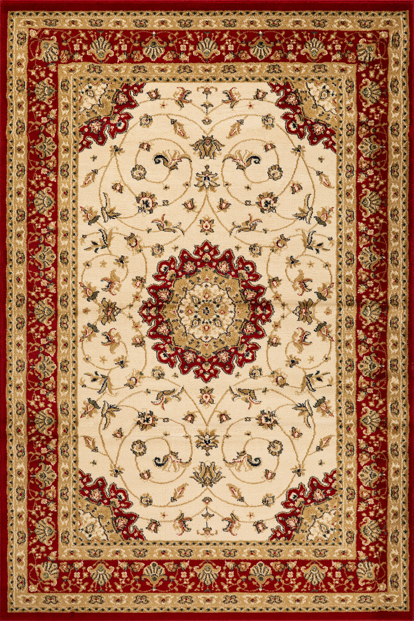 Coen Traditional Medallion Rug