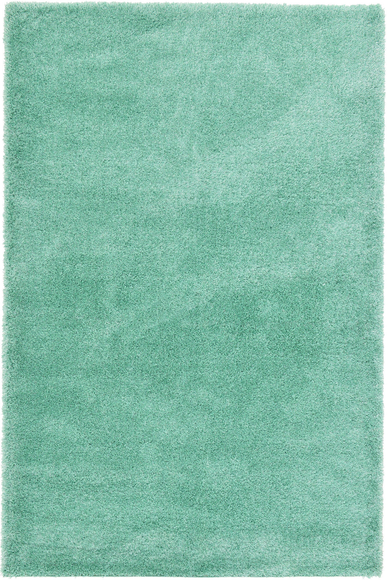 Large View Dream Plain Green Thick Shag Rug
