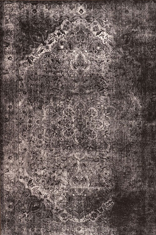 Fara Transitional Medallion Rug