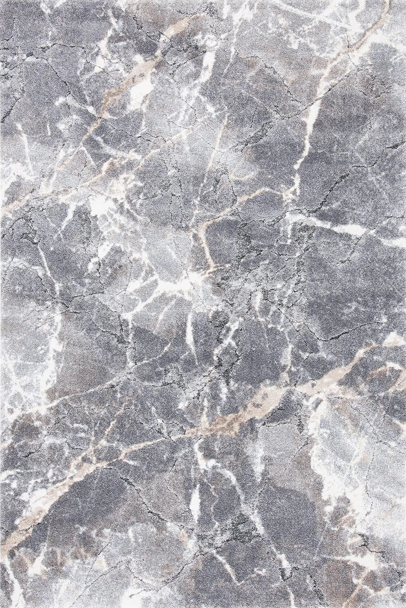 Paradise Abstract Rug PAR460-CG-X