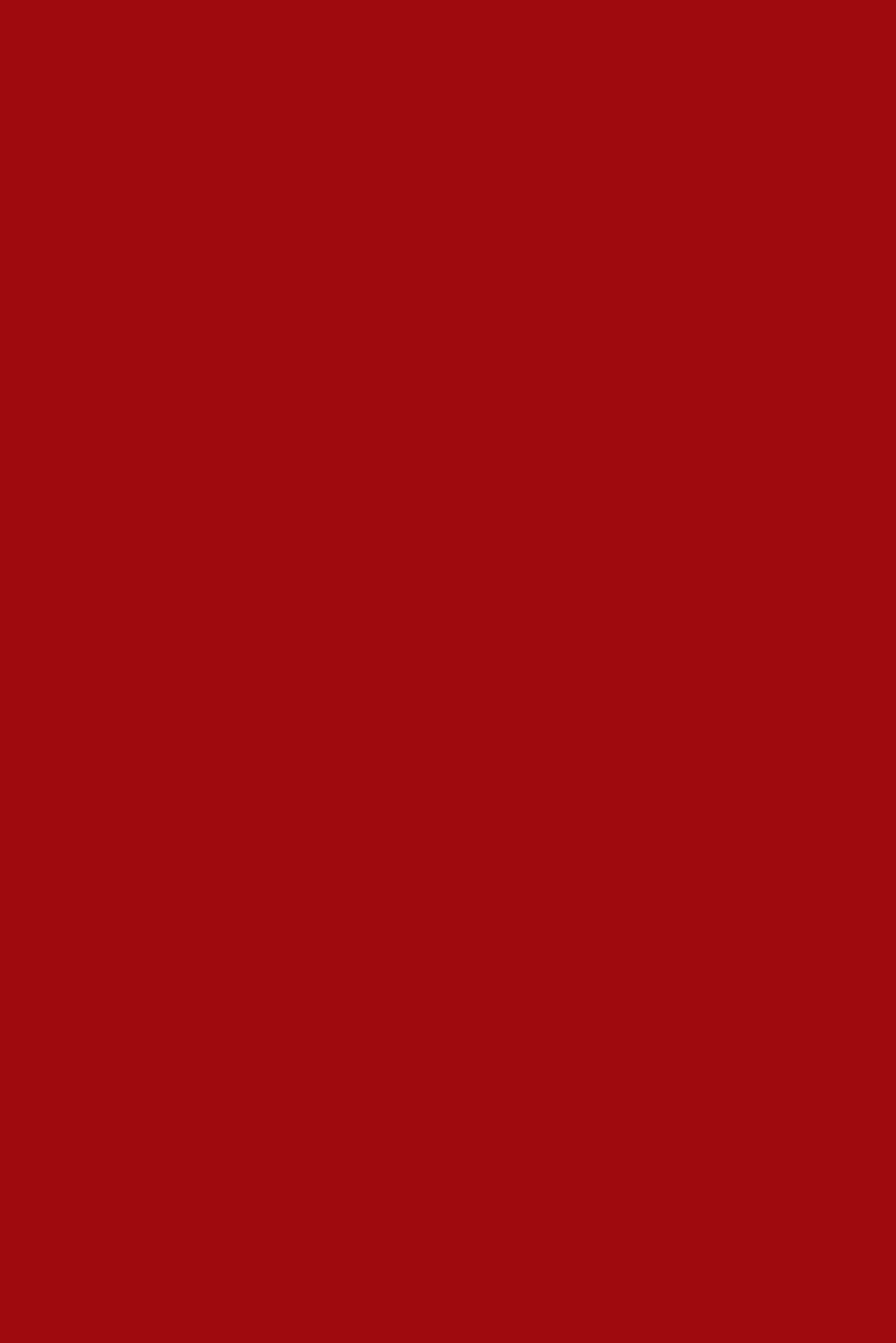 Red Test Rug