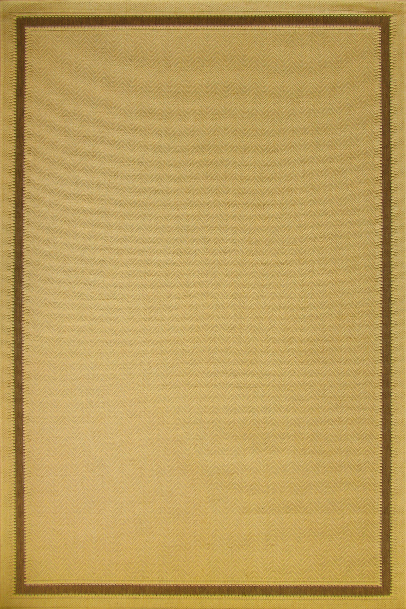 Sama Plain Border Flatweave Rug