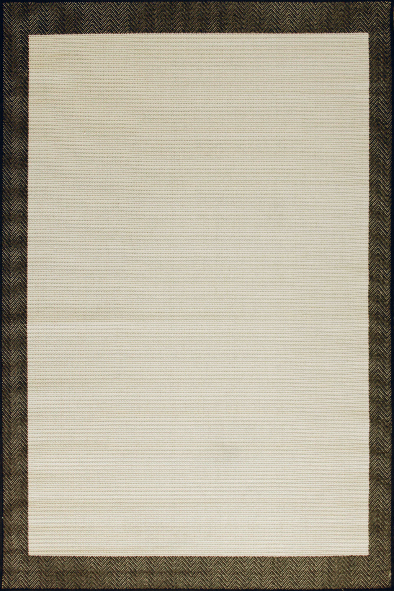 Large View Storm Border Pattern Rug