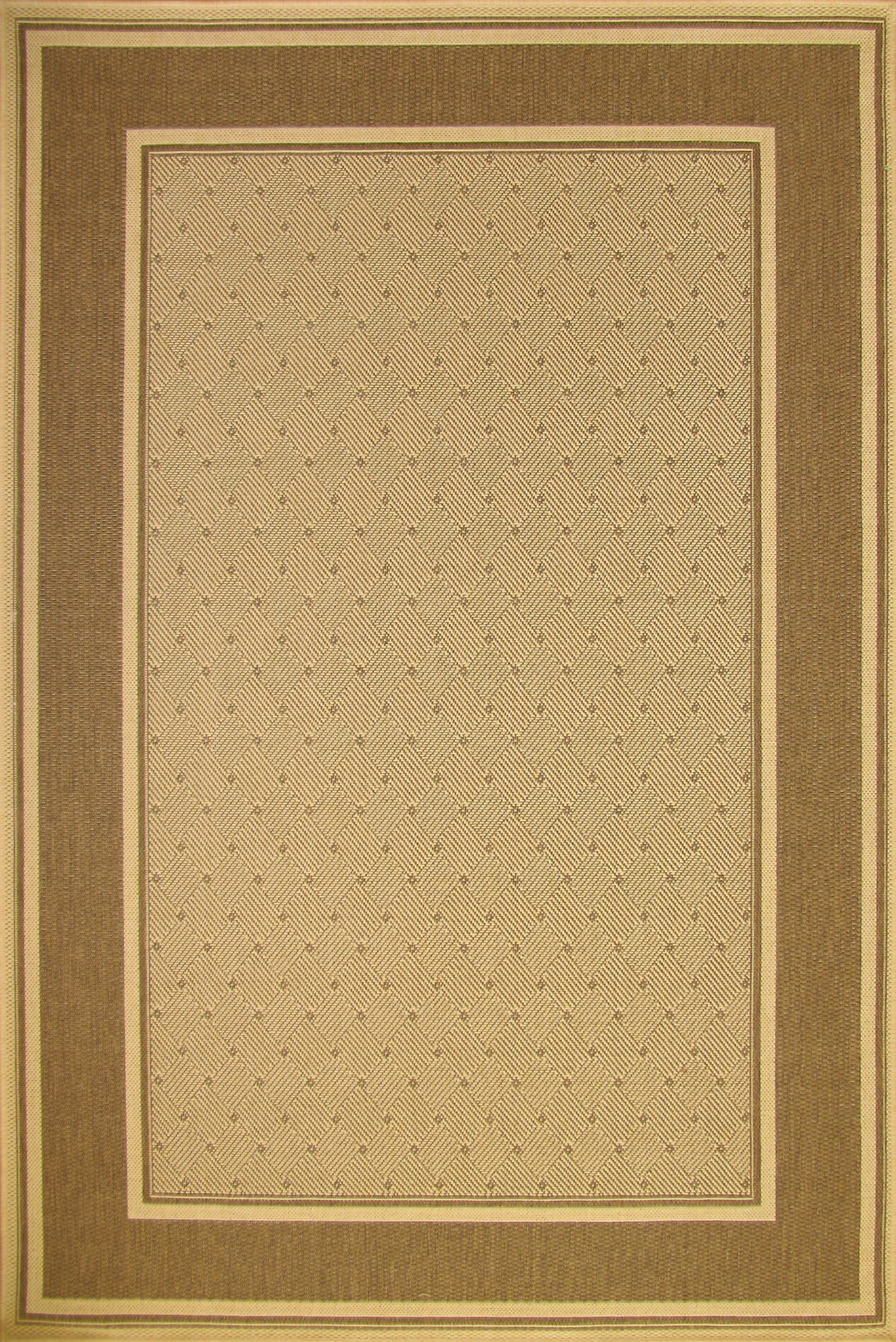 Sama Beige Flatweave Border Rug