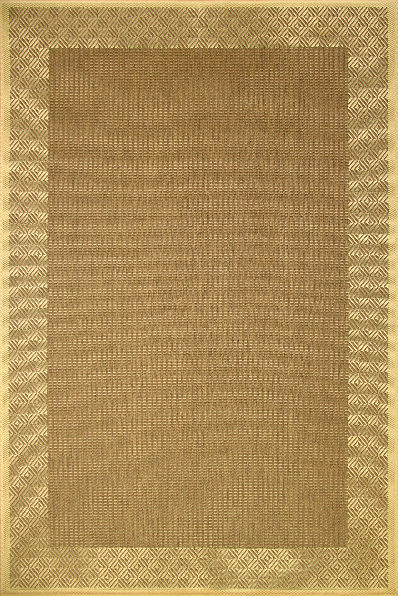 Large View Sama Flatweave Border Rug