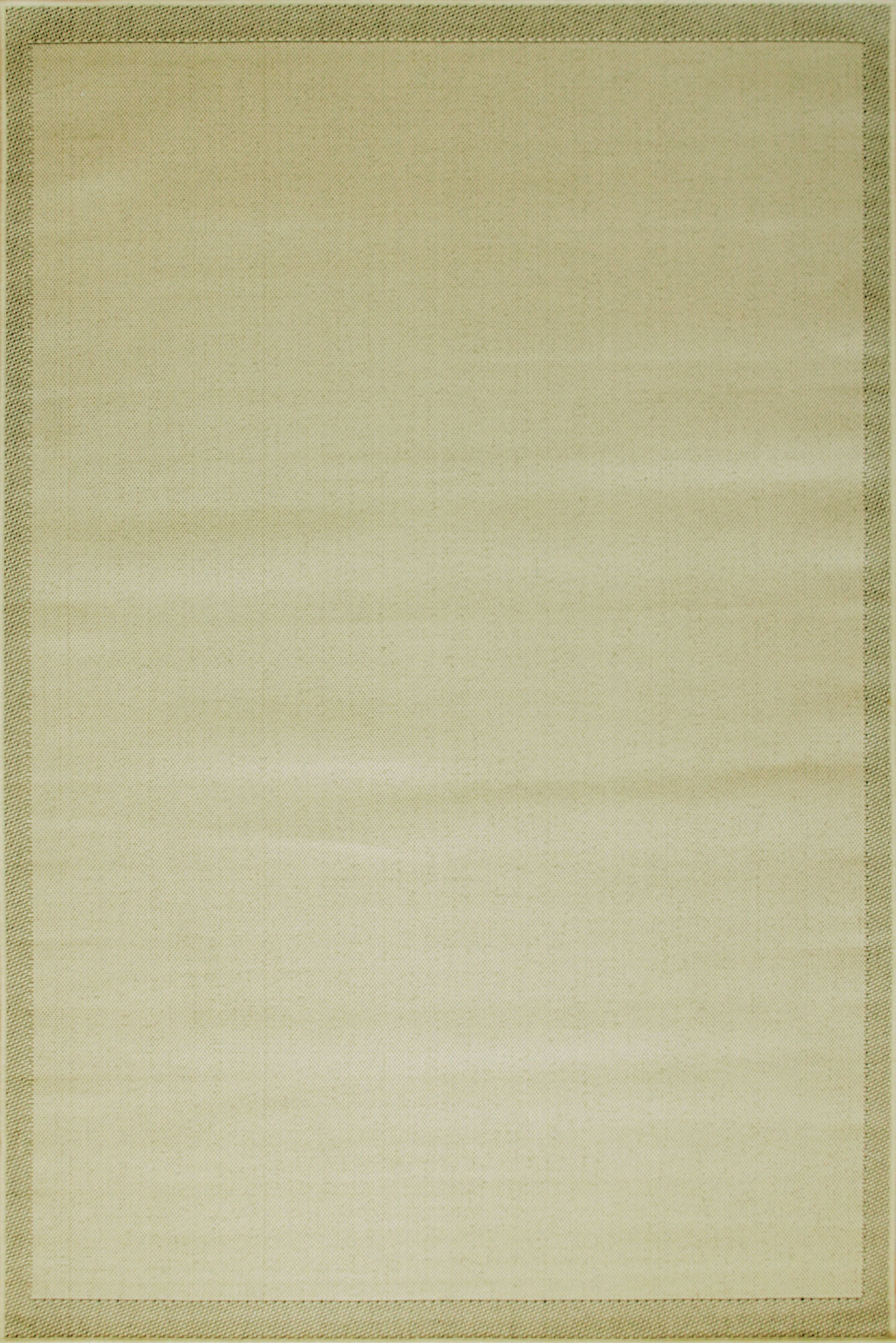 Large View Storm Plain Flatweave Border Rug
