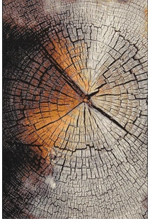Aperto Tree Stump Rug APE273-X