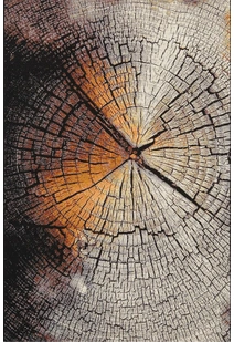 Aperto Tree Stump Rug