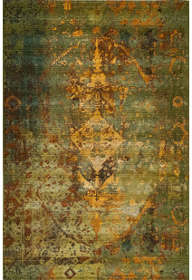 Aperto Transitional Green Rug
