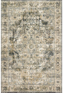 Aram Transitional Vintage Rug