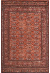Cato Traditional Rug CA1616-3