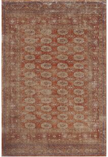 Cato Traditional Rug CA1616-8