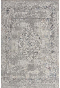 Cade Transitional Medallion Rug