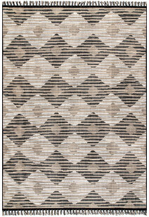 Carlo Geometric Striped Rug