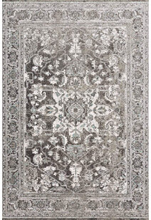 Erin Transitional Medallion Rug