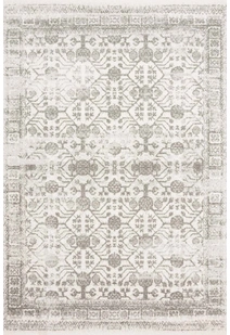 Erin Transitional Rug EE2903-E
