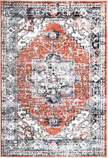 Empoli Traditional Medallion Rug