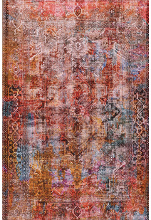Fara Traditional Overdyed Rug