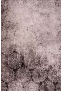 Fara Contemporary Overdyed Rug