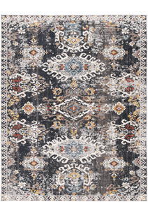 Haze Traditional Distressed Rug