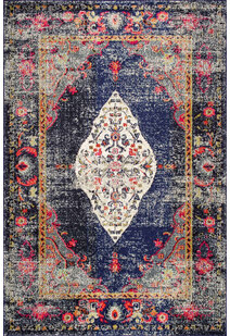 Hank Transitional Medallion Rug