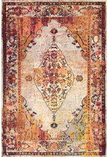 Hank Distressed Traditional Rug