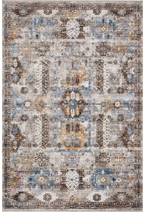 Lukas Traditional Medallion Rug