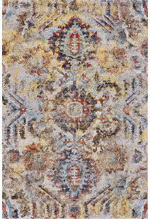 Lester Traditional Overdyed Rug