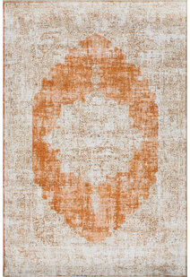 Noble Traditional Medallion Rug