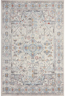 Nyle Traditional Medallion Rug