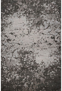 Oakley Modern Abstract Rug
