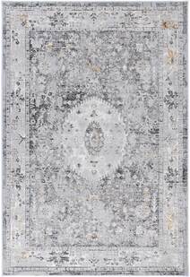 Poe Traditional Medallion Rug
