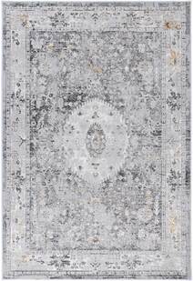 Poe Traditional Medallion Rug