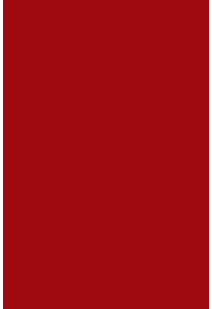 Red Test Rug