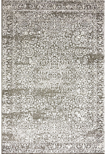 Saul Transitional Medallion Rug