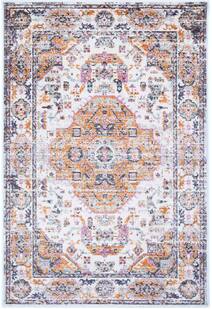 Suvi Transitional Medallion Rug