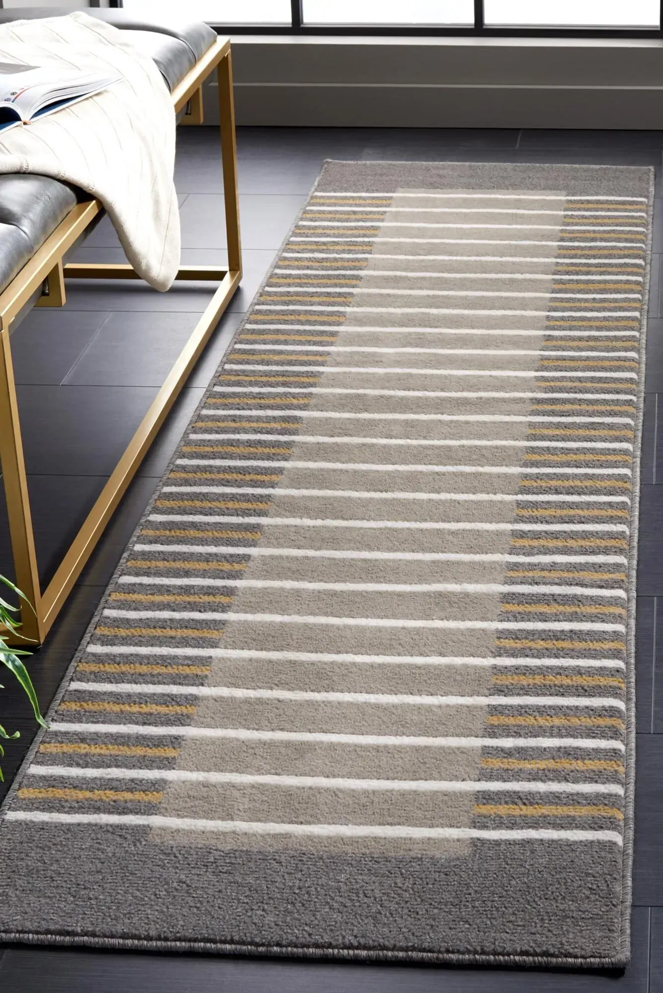 Alfa Modern Striped Border Rug