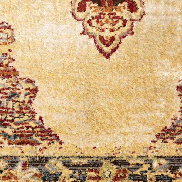 Caleb Transitional Medallion Rug