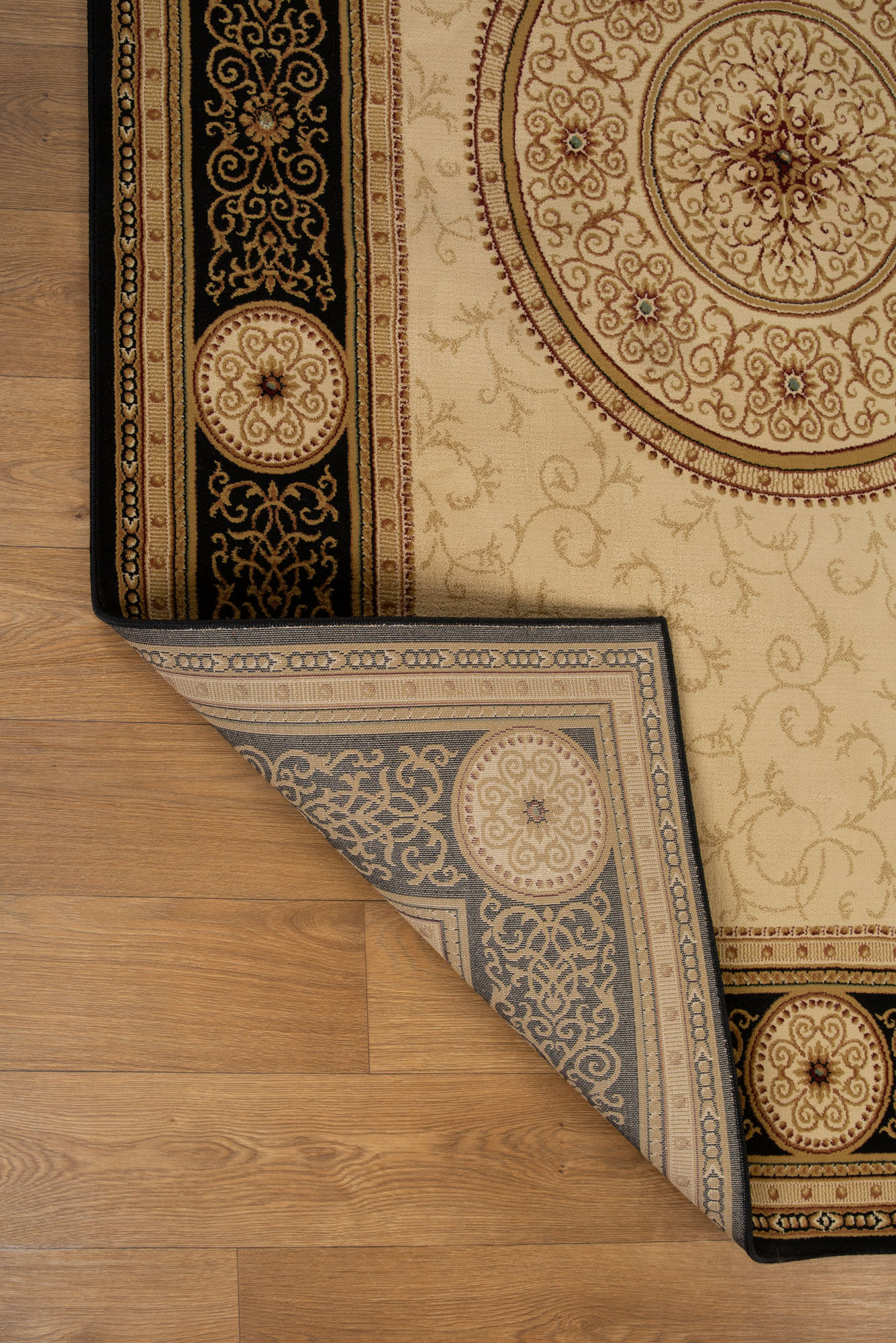 Cain Transitional Medallion Rug
