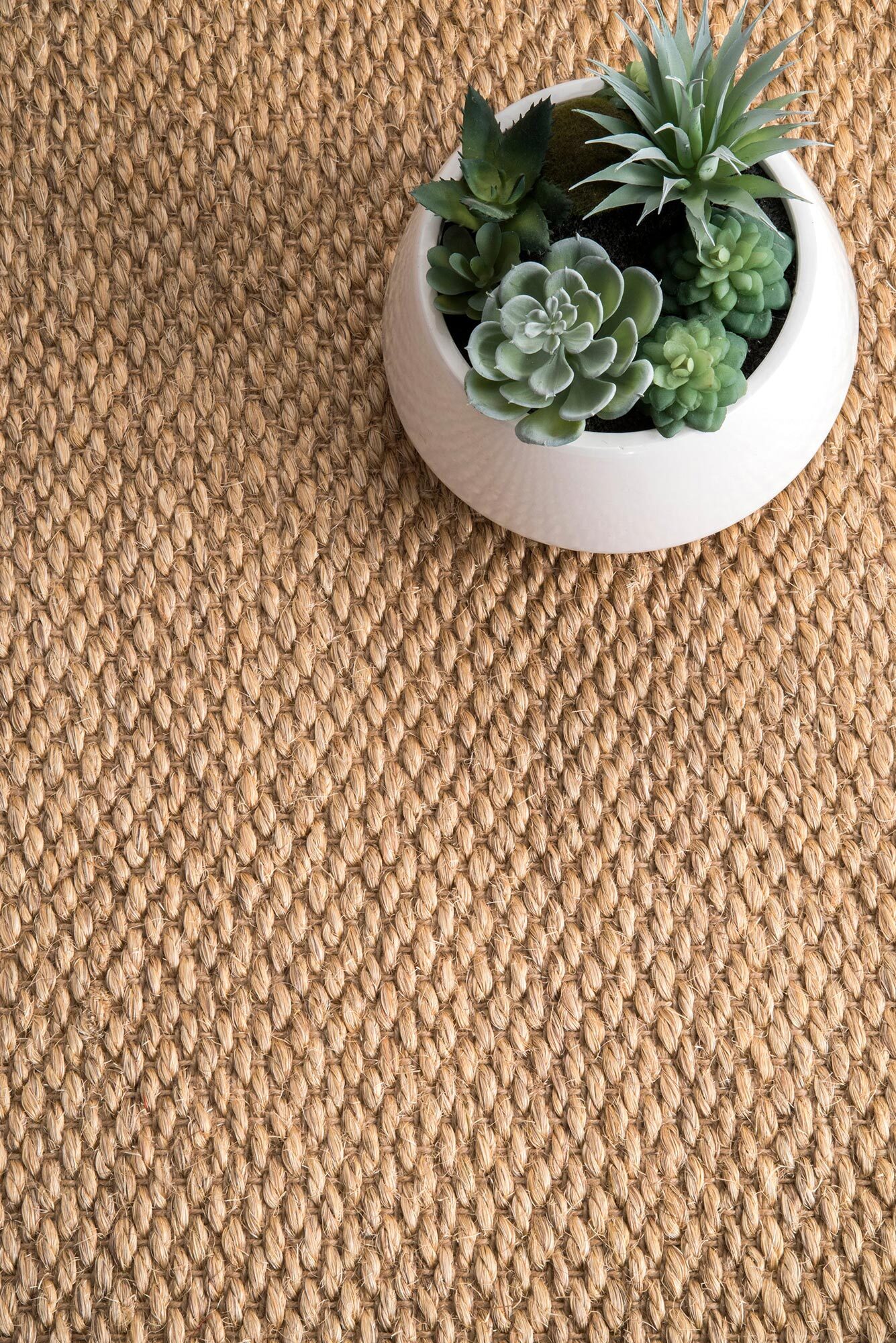 Large View Lidia Sisal Flatweave Border Rug