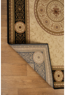 Cain Transitional Medallion Rug