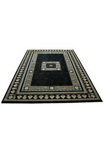 Cain Transitional Medallion Rug