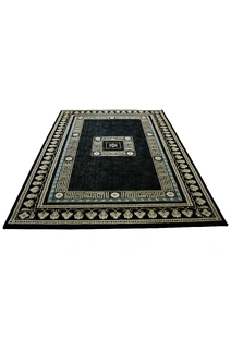 Cain Transitional Medallion Rug
