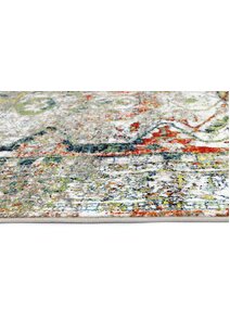 Juliet Overdyed Traditional Rug