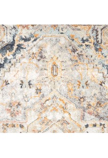 Lexi Transitional Medallion Rug