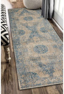 Melanie Traditional Overdyed Rug