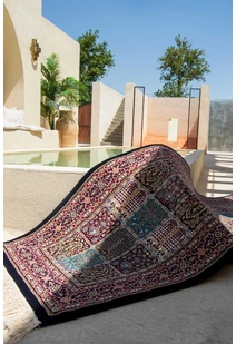 Mona Oriental Rug ME87214-DB